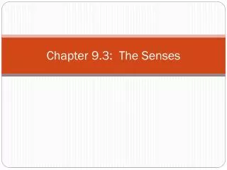 Chapter 9.3: The Senses