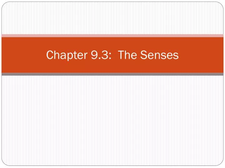 chapter 9 3 the senses