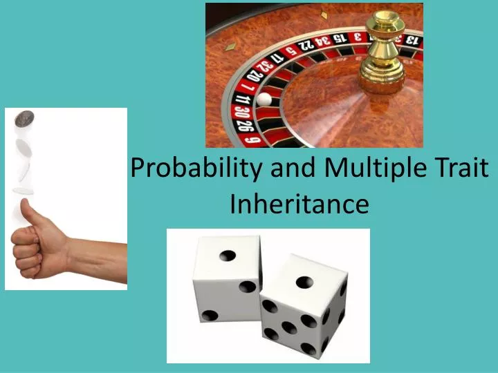 probability and multiple trait inheritance