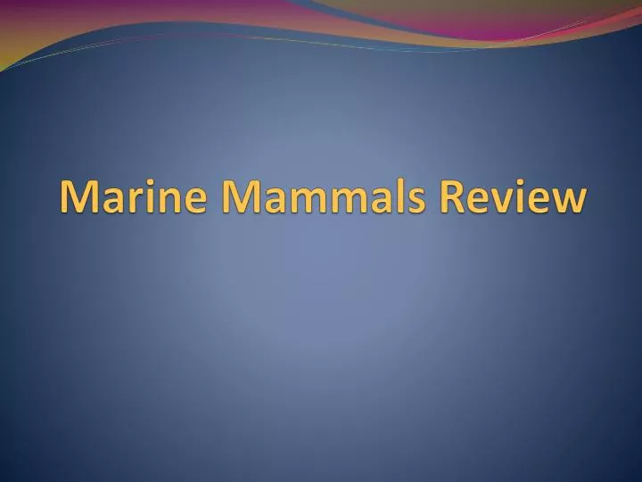 marine mammals review