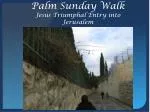 Palm Sunday Walk Jesus Triumphal Entry into Jerusalem