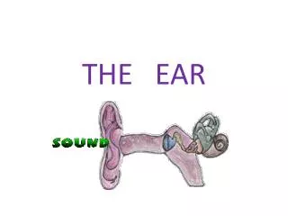 THE EAR