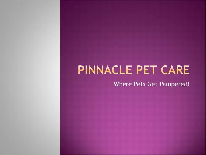 pinnacle pet care