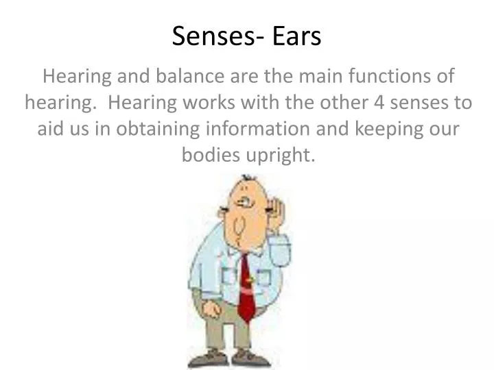 senses ears