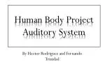 Human Body Project Auditory System - slide 1