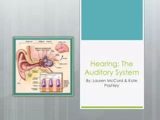 Hearing: The Auditory System