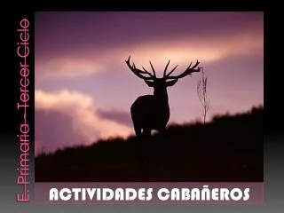 e primaria tercer ciclo