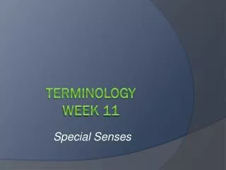 Terminology Week 11