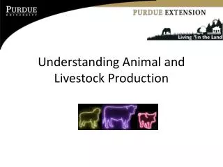 Understanding Animal and Livestock Production