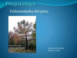 fitopatolog a