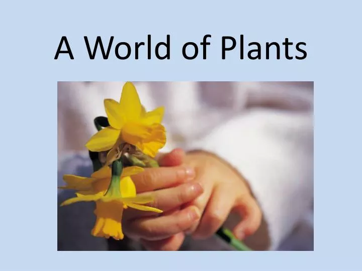 a world of plants