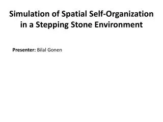 Simulation of Spatial Self-Organization in a Stepping Stone Environment