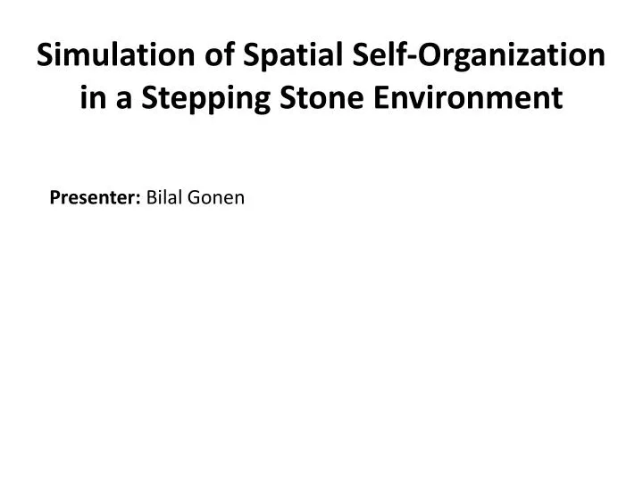 simulation of spatial self organization in a stepping stone environment