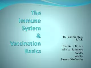 The Immune System &amp; Vaccination Basics