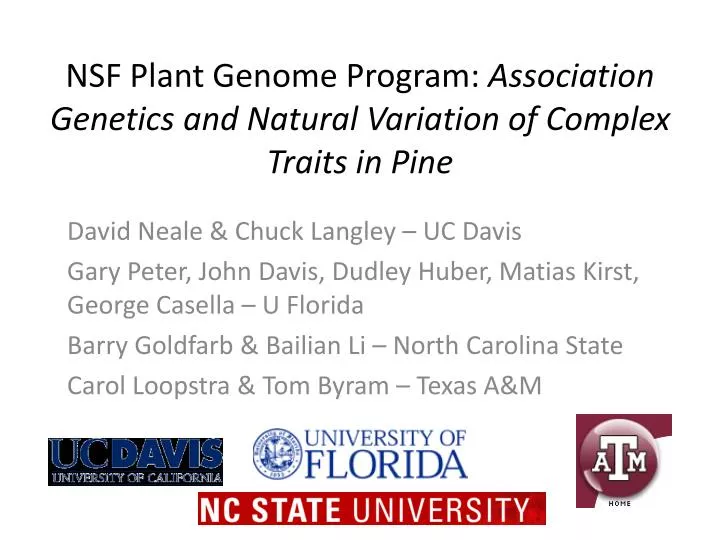 nsf plant genome program association genetics and natural variation of complex traits in pine