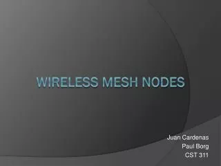 Wireless Mesh Nodes