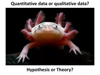Quantitative data or qualitative data? Hypothesis or Theory?