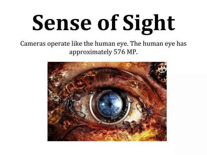 sense of sight