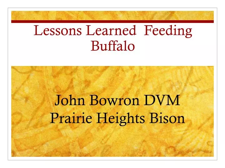 lessons learned feeding buffalo