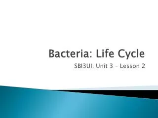 Bacteria: Life Cycle