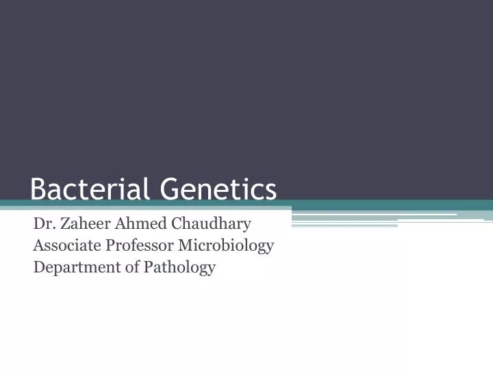 bacterial genetics