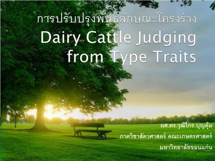 dairy cattle judging from type traits