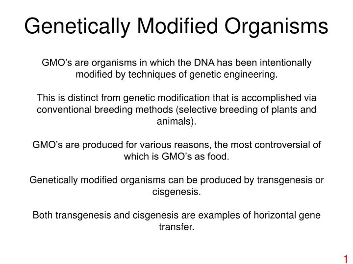 genetically modified organisms