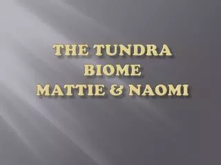 The Tundra Biome Mattie &amp; Naomi