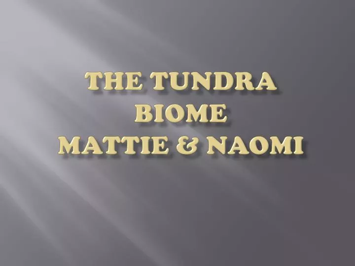 the tundra biome mattie naomi
