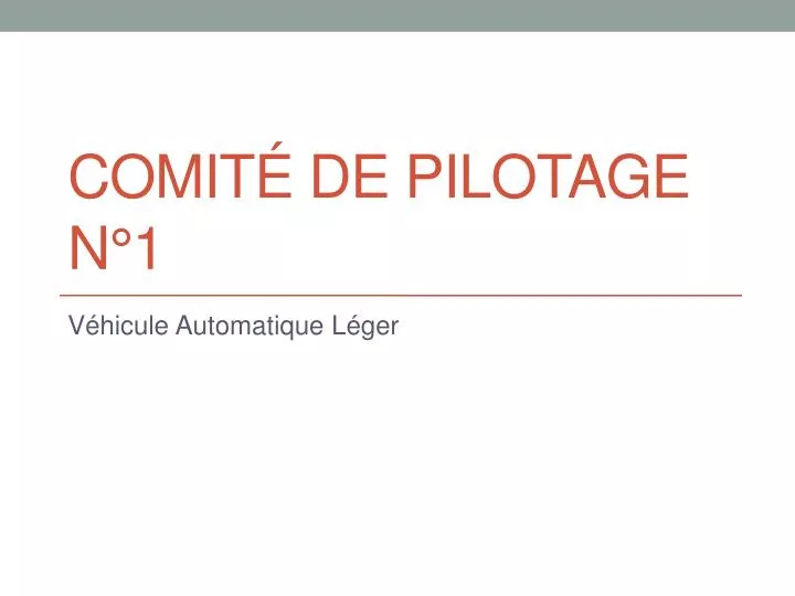 comit de pilotage n 1