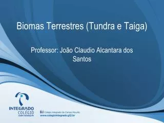 biomas terrestres tundra e taiga