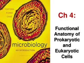 Ch 4: Functional Anatomy of Prokaryotic and Eukaryotic Cells