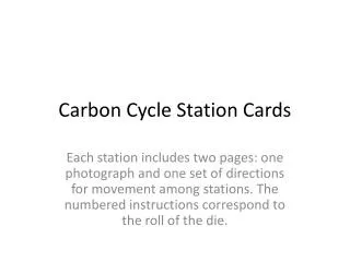 Carbon Cycle Station Cards