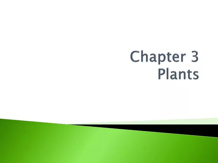 chapter 3 plants