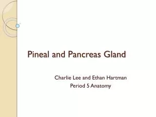 Pineal and Pancreas Gland