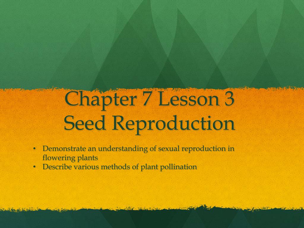 PPT - Chapter 7 Lesson 3 Seed Reproduction PowerPoint Presentation ...