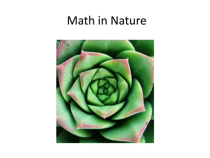 math in nature
