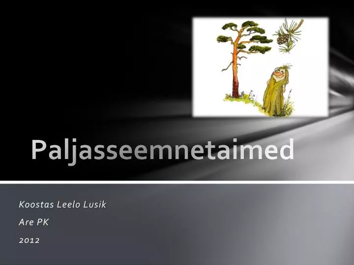 paljasseemnetaimed