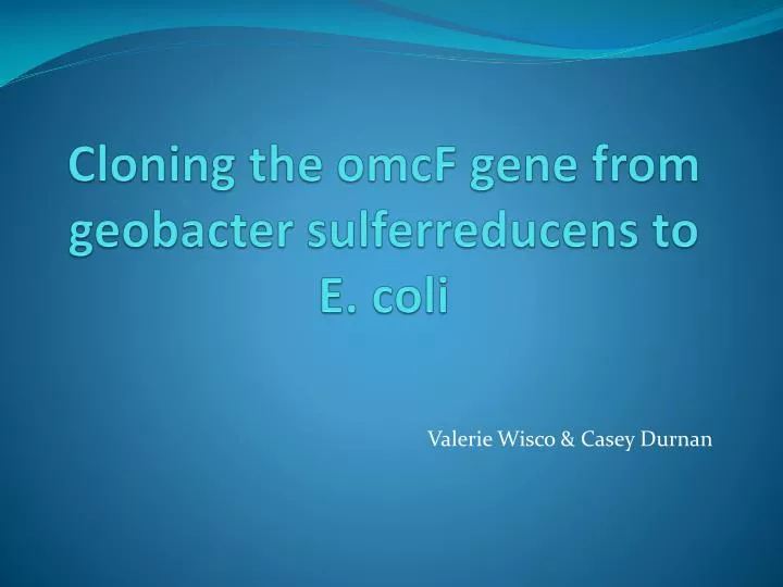 cloning the omcf gene from geobacter sulferreducens to e coli