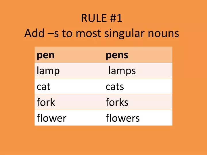 rule 1 add s to most singular nouns