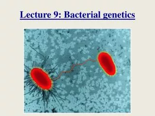 Lecture 9: B acterial genetics