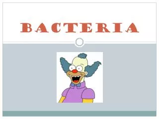 Bacteria