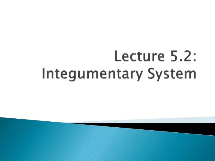 lecture 5 2 integumentary system