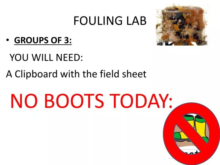 fouling lab
