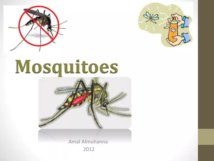 mosquitoes