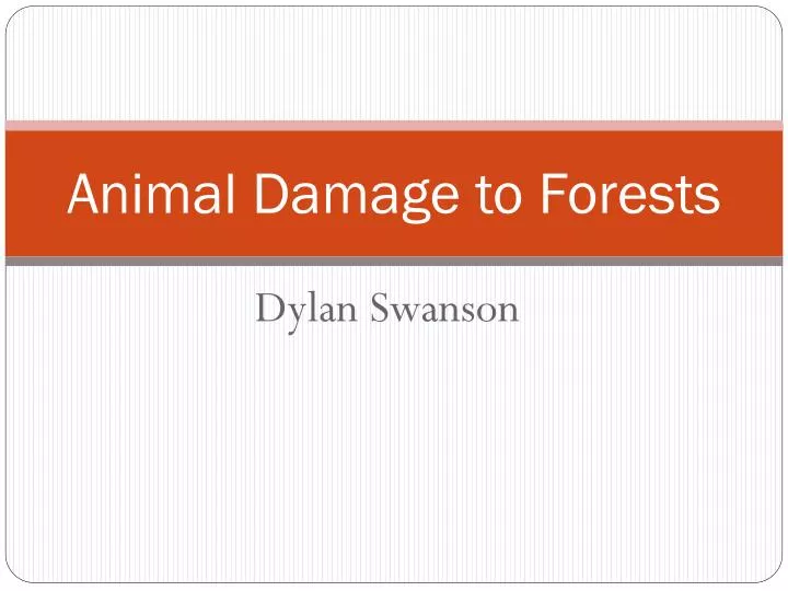 animal damage to forests