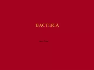 BACTERIA