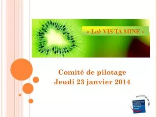 comit de pilotage jeudi 23 janvier 2014