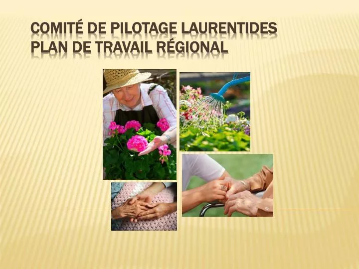 comit de pilotage laurentides plan de travail r gional