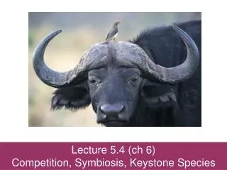 Lecture 5.4 ( ch 6) Competition, Symbiosis, Keystone Species